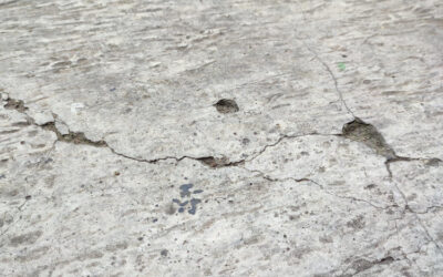 Signs It’s Time to Replace or Recoat Your Commercial Floor