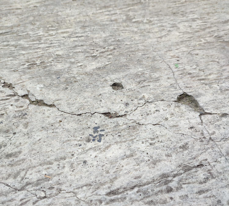 Signs It’s Time to Replace or Recoat Your Commercial Floor